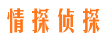 沈河市婚外情调查